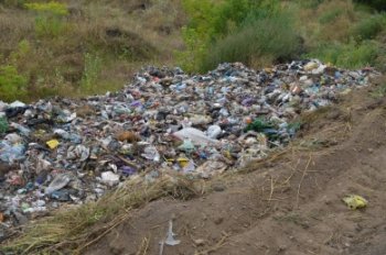 Торік на Кіцманщині незаконно рубали дерева і вивозили сміття